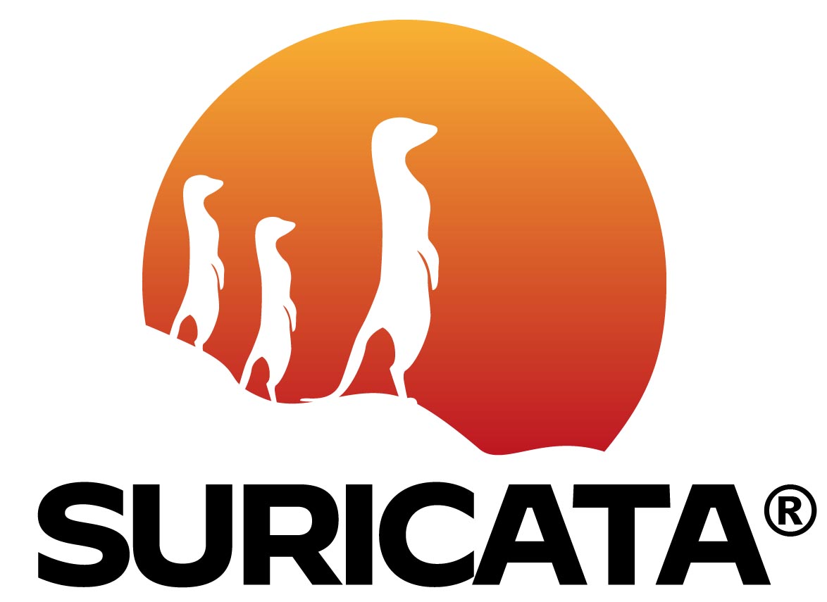 Enhancing Network Security with Suricata